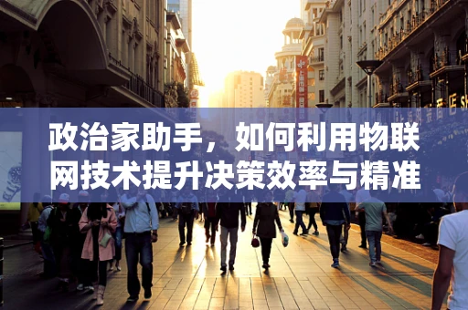 政治家助手，如何利用物联网技术提升决策效率与精准度？