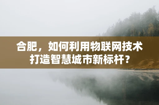合肥，如何利用物联网技术打造智慧城市新标杆？
