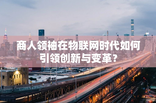 商人领袖在物联网时代如何引领创新与变革？