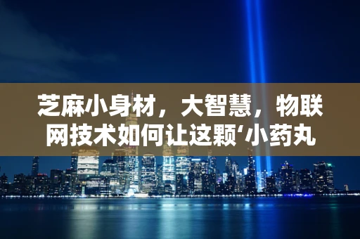 芝麻小身材，大智慧，物联网技术如何让这颗‘小药丸’焕发新活力？