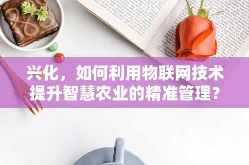 兴化，如何利用物联网技术提升智慧农业的精准管理？