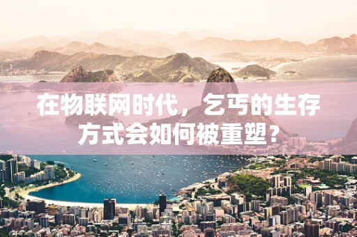 在物联网时代，乞丐的生存方式会如何被重塑？