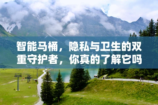 智能马桶，隐私与卫生的双重守护者，你真的了解它吗？