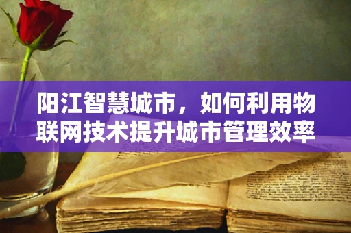 阳江智慧城市，如何利用物联网技术提升城市管理效率？