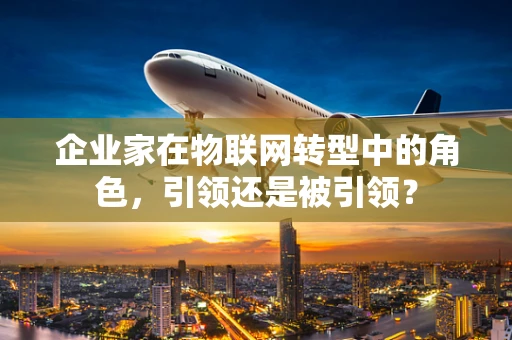 企业家在物联网转型中的角色，引领还是被引领？