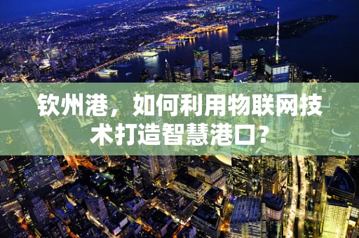 钦州港，如何利用物联网技术打造智慧港口？