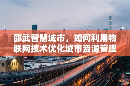 邵武智慧城市，如何利用物联网技术优化城市资源管理？