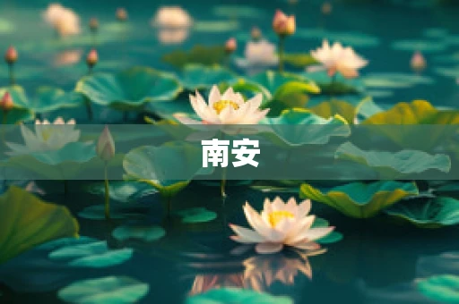 南安