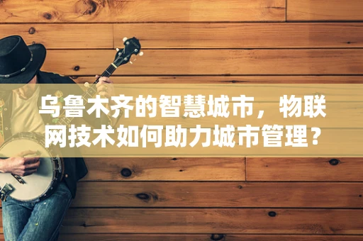乌鲁木齐的智慧城市，物联网技术如何助力城市管理？