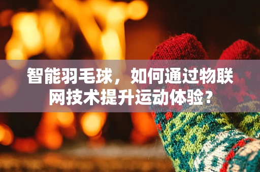 智能羽毛球，如何通过物联网技术提升运动体验？