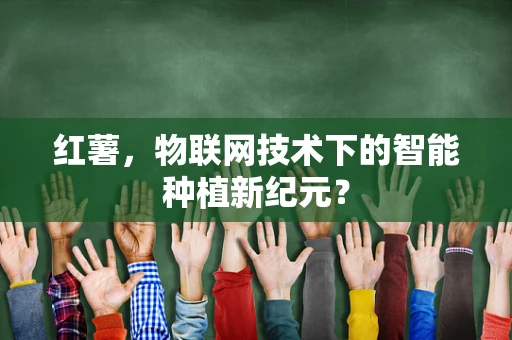 红薯，物联网技术下的智能种植新纪元？