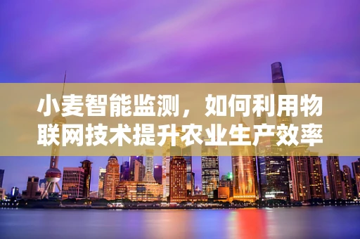 小麦智能监测，如何利用物联网技术提升农业生产效率？