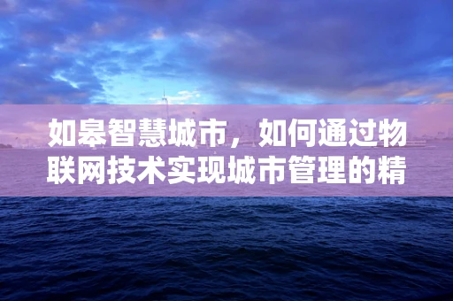 如皋智慧城市，如何通过物联网技术实现城市管理的精细化与智能化？