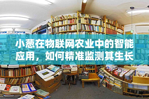 小葱在物联网农业中的智能应用，如何精准监测其生长环境？