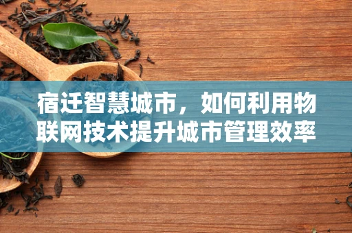 宿迁智慧城市，如何利用物联网技术提升城市管理效率？
