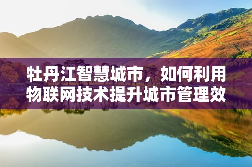 牡丹江智慧城市，如何利用物联网技术提升城市管理效率？