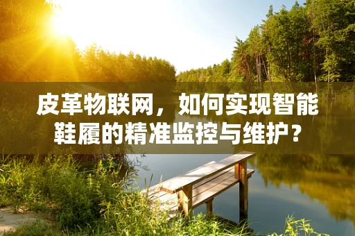 皮革物联网，如何实现智能鞋履的精准监控与维护？