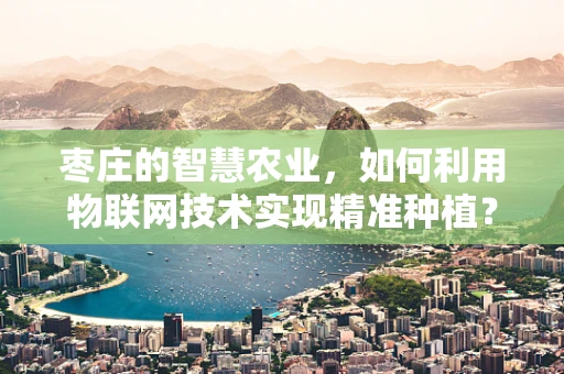 枣庄的智慧农业，如何利用物联网技术实现精准种植？