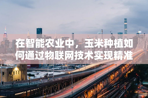 在智能农业中，玉米种植如何通过物联网技术实现精准管理？