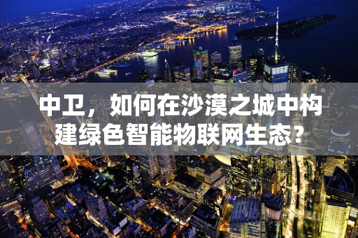 中卫，如何在沙漠之城中构建绿色智能物联网生态？