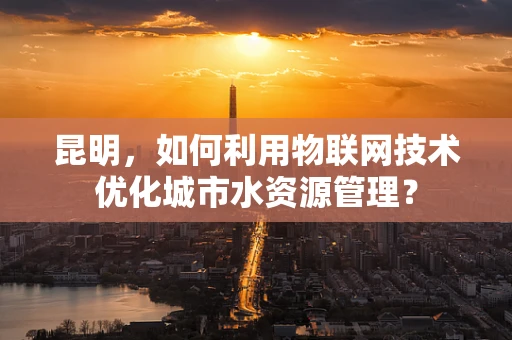 昆明，如何利用物联网技术优化城市水资源管理？