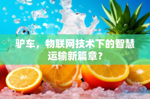 驴车，物联网技术下的智慧运输新篇章？