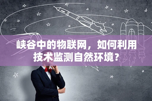 峡谷中的物联网，如何利用技术监测自然环境？