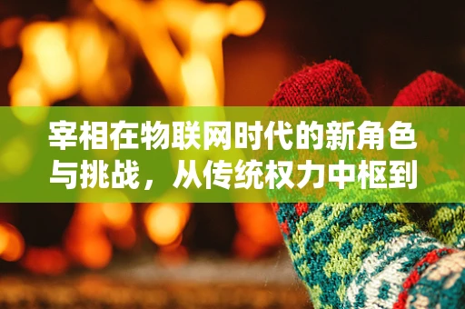 宰相在物联网时代的新角色与挑战，从传统权力中枢到智能决策引擎？