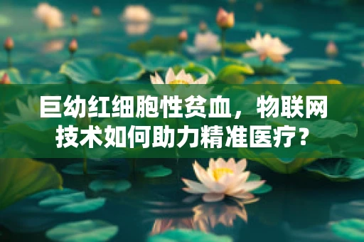巨幼红细胞性贫血，物联网技术如何助力精准医疗？