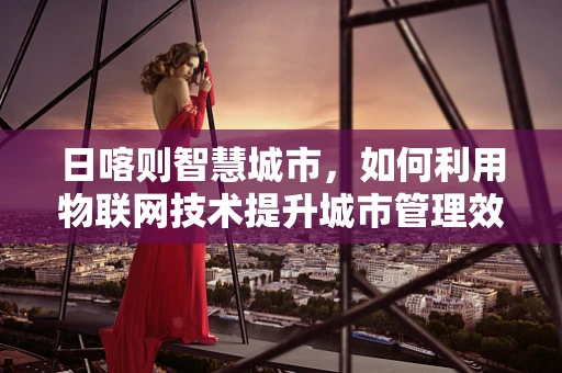 日喀则智慧城市，如何利用物联网技术提升城市管理效率？