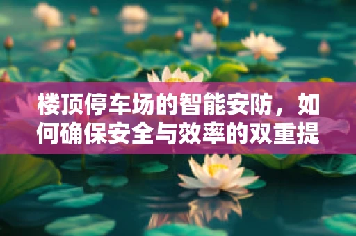 楼顶停车场的智能安防，如何确保安全与效率的双重提升？
