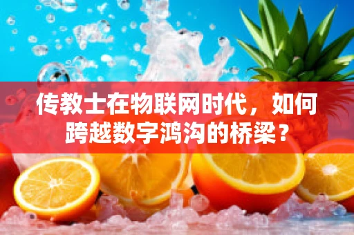 传教士在物联网时代，如何跨越数字鸿沟的桥梁？