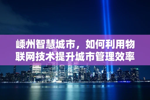 嵊州智慧城市，如何利用物联网技术提升城市管理效率？
