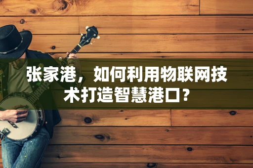 张家港，如何利用物联网技术打造智慧港口？