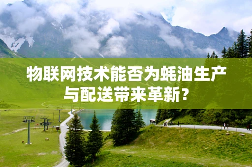 物联网技术能否为蚝油生产与配送带来革新？