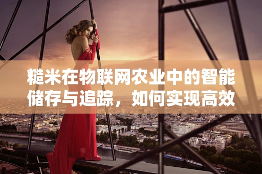 糙米在物联网农业中的智能储存与追踪，如何实现高效管理？
