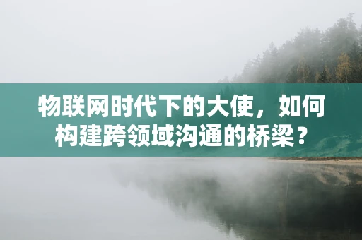 物联网时代下的大使，如何构建跨领域沟通的桥梁？