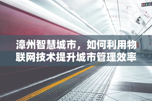 漳州智慧城市，如何利用物联网技术提升城市管理效率？