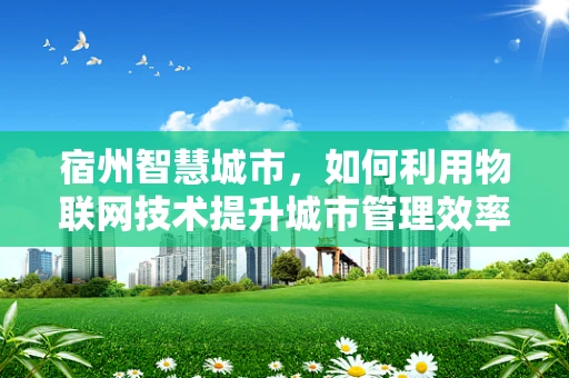 宿州智慧城市，如何利用物联网技术提升城市管理效率？