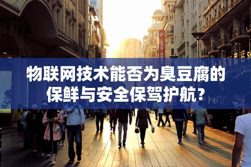 物联网技术能否为臭豆腐的保鲜与安全保驾护航？