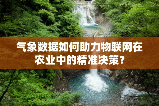 气象数据如何助力物联网在农业中的精准决策？