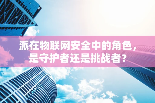 派在物联网安全中的角色，是守护者还是挑战者？
