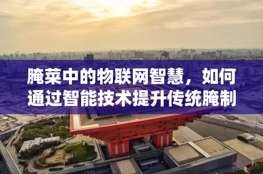 腌菜中的物联网智慧，如何通过智能技术提升传统腌制工艺？