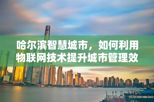 哈尔滨智慧城市，如何利用物联网技术提升城市管理效率？