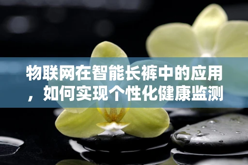 物联网在智能长裤中的应用，如何实现个性化健康监测？