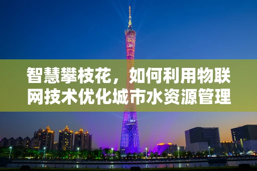 智慧攀枝花，如何利用物联网技术优化城市水资源管理？
