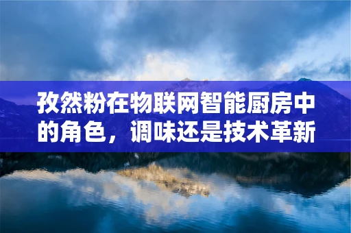 孜然粉在物联网智能厨房中的角色，调味还是技术革新？