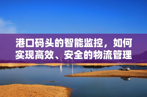 港口码头的智能监控，如何实现高效、安全的物流管理？