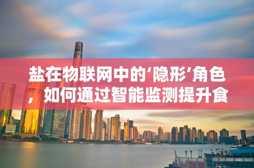 盐在物联网中的‘隐形’角色，如何通过智能监测提升食品安全？