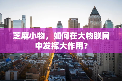 芝麻小物，如何在大物联网中发挥大作用？